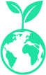 globe icon